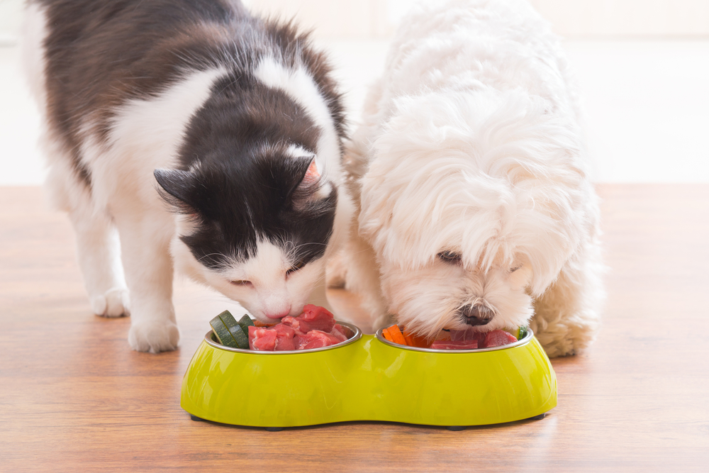 8 Benefits Of Feeding Your Pets Natural Food